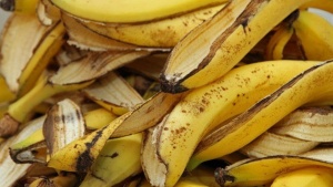 casca da banana usos