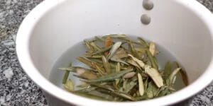 folhas de oliveira
