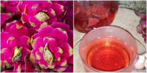 chá feito de cascas de pitaya